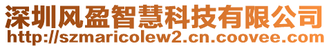 深圳風(fēng)盈智慧科技有限公司