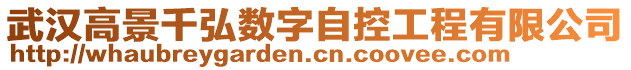 武漢高景千弘數字自控工程有限公司