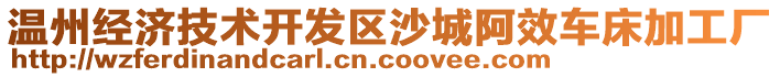 溫州經濟技術開發(fā)區(qū)沙城阿效車床加工廠