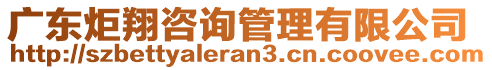 廣東炬翔咨詢管理有限公司