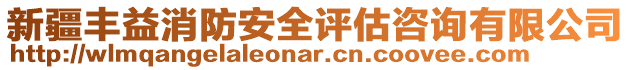 新疆豐益消防安全評估咨詢有限公司
