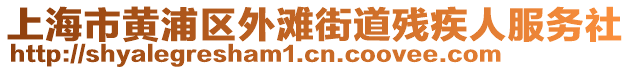 上海市黃浦區(qū)外灘街道殘疾人服務(wù)社