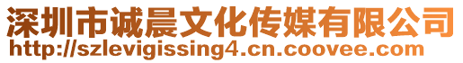 深圳市誠晨文化傳媒有限公司