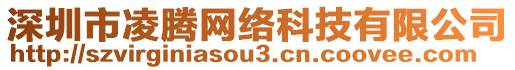 深圳市凌騰網(wǎng)絡(luò)科技有限公司