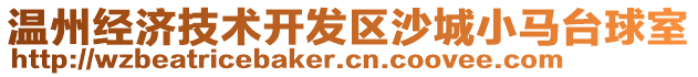 溫州經濟技術開發區沙城小馬臺球室