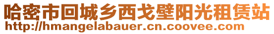 哈密市回城鄉(xiāng)西戈壁陽光租賃站