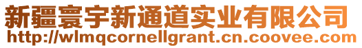 新疆寰宇新通道實業(yè)有限公司