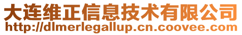 大連維正信息技術有限公司