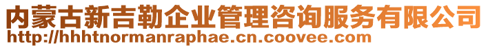 內(nèi)蒙古新吉勒企業(yè)管理咨詢服務(wù)有限公司