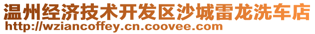 溫州經(jīng)濟技術開發(fā)區(qū)沙城雷龍洗車店