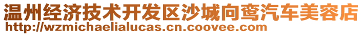 溫州經(jīng)濟技術(shù)開發(fā)區(qū)沙城向鸞汽車美容店