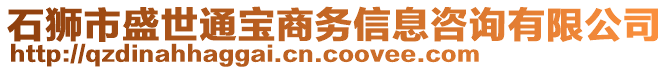 石獅市盛世通寶商務(wù)信息咨詢有限公司