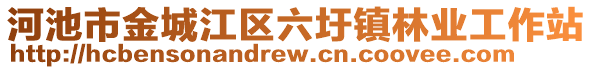 河池市金城江區(qū)六圩鎮(zhèn)林業(yè)工作站