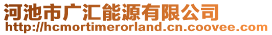 河池市廣匯能源有限公司