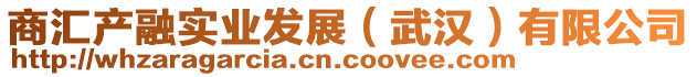 商匯產(chǎn)融實業(yè)發(fā)展（武漢）有限公司