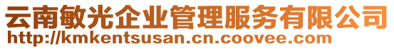 云南敏光企業(yè)管理服務(wù)有限公司