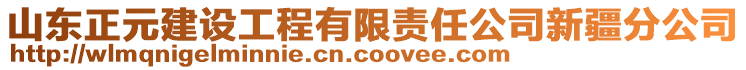 山東正元建設(shè)工程有限責(zé)任公司新疆分公司