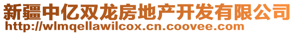 新疆中億雙龍房地產開發(fā)有限公司