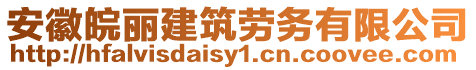 安徽皖麗建筑勞務有限公司