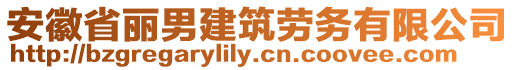 安徽省麗男建筑勞務(wù)有限公司