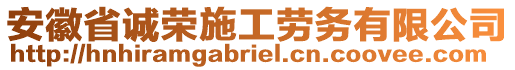 安徽省誠榮施工勞務(wù)有限公司