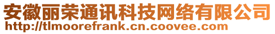 安徽麗榮通訊科技網(wǎng)絡(luò)有限公司