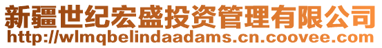 新疆世紀宏盛投資管理有限公司