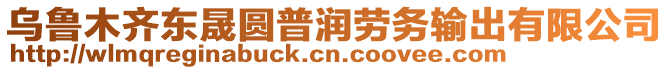 烏魯木齊東晟圓普潤勞務(wù)輸出有限公司