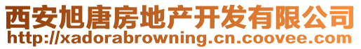 西安旭唐房地產(chǎn)開發(fā)有限公司