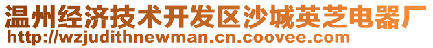 溫州經(jīng)濟(jì)技術(shù)開發(fā)區(qū)沙城英芝電器廠