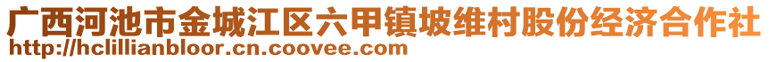 廣西河池市金城江區(qū)六甲鎮(zhèn)坡維村股份經(jīng)濟(jì)合作社