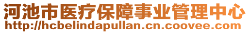 河池市醫(yī)療保障事業(yè)管理中心