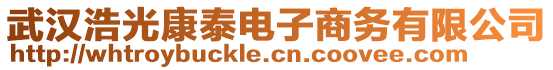 武漢浩光康泰電子商務(wù)有限公司