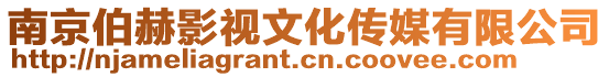 南京伯赫影視文化傳媒有限公司