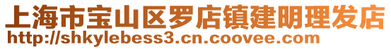 上海市寶山區(qū)羅店鎮(zhèn)建明理發(fā)店