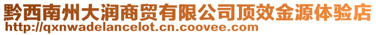 黔西南州大潤商貿(mào)有限公司頂效金源體驗店