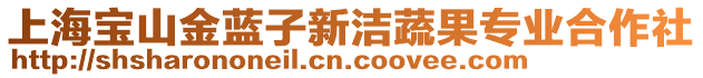 上海寶山金藍子新潔蔬果專業(yè)合作社