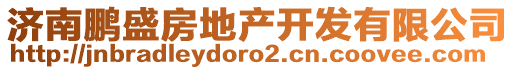 濟南鵬盛房地產開發(fā)有限公司