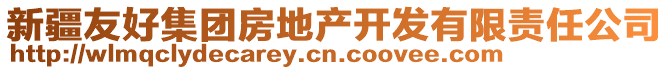 新疆友好集團(tuán)房地產(chǎn)開發(fā)有限責(zé)任公司