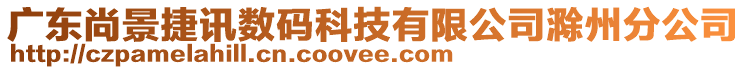 廣東尚景捷訊數碼科技有限公司滁州分公司