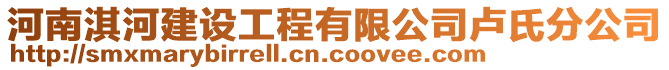 河南淇河建設(shè)工程有限公司盧氏分公司