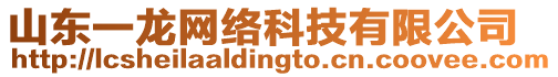 山東一龍網(wǎng)絡科技有限公司