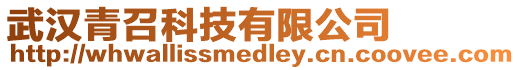 武漢青召科技有限公司