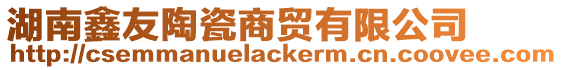 湖南鑫友陶瓷商貿有限公司