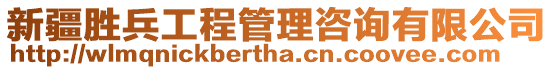 新疆勝兵工程管理咨詢有限公司