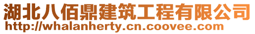 湖北八佰鼎建筑工程有限公司