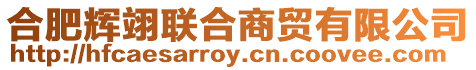 合肥輝翊聯合商貿有限公司