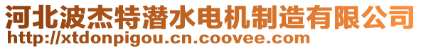 河北波杰特潛水電機(jī)制造有限公司