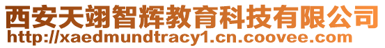 西安天翊智輝教育科技有限公司