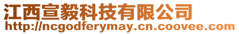 江西宣毅科技有限公司